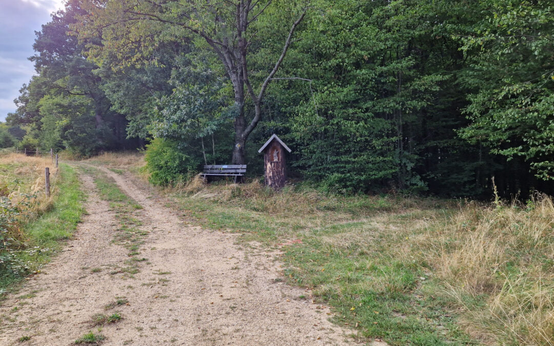 Senftenberger Wanderweg Nr. 2: Hiesbergweg