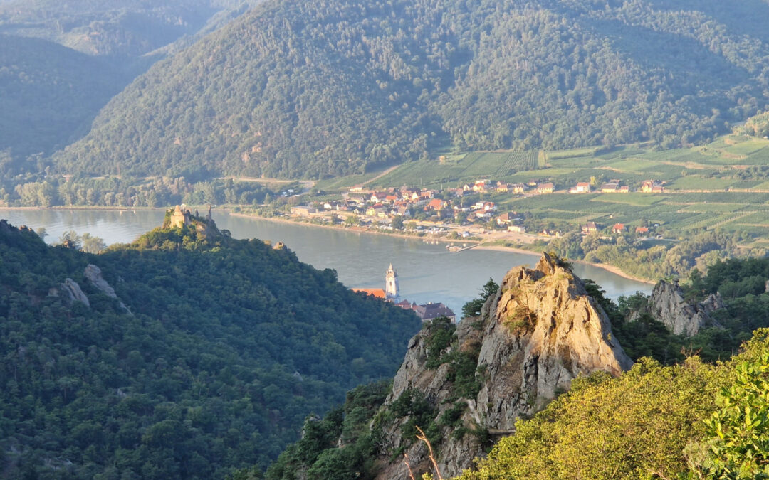 Von Dürnstein über den Vogelbergsteig zu Kanzel, Fesslhütte und Starhembergwarte und über den Talgraben zurück