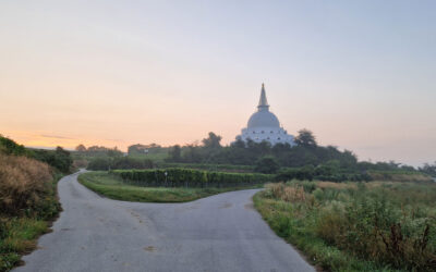 Von Schloss Grafenegg zum Friedensstupa am Wagram