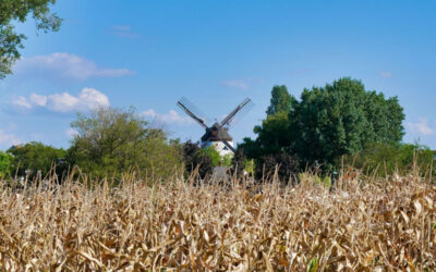 Laufpark Neusiedler See – Strecke 35: Kleine See-Schleife