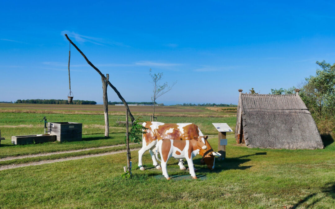 Laufpark Neusiedler See – Strecke 9: Über die Seeäcker (von St. Andrä aus)