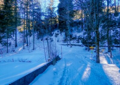 Der Winterspazierweg in Annaberg