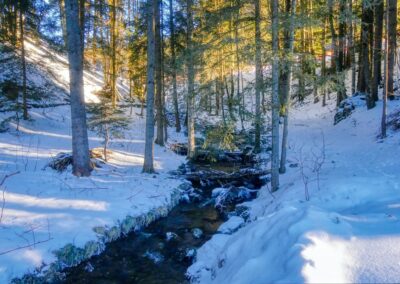 Der Winterspazierweg in Annaberg