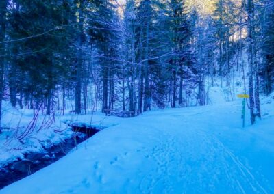 Der Winterspazierweg in Annaberg