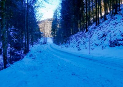 Der Winterspazierweg in Annaberg