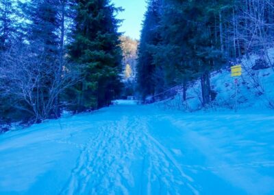 Der Winterspazierweg in Annaberg