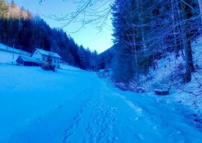 Der Winterspazierweg in Annaberg