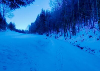Der Winterspazierweg in Annaberg