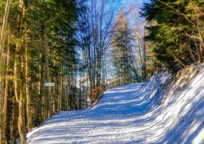 Der Winterspazierweg in Annaberg