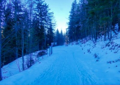 Der Winterspazierweg in Annaberg