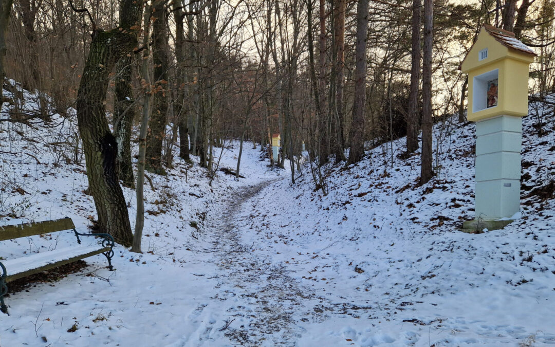 Von Freundorf über den Kreuzweg zur Bildereiche auf dem Auberg und über den Jesusweg zurück