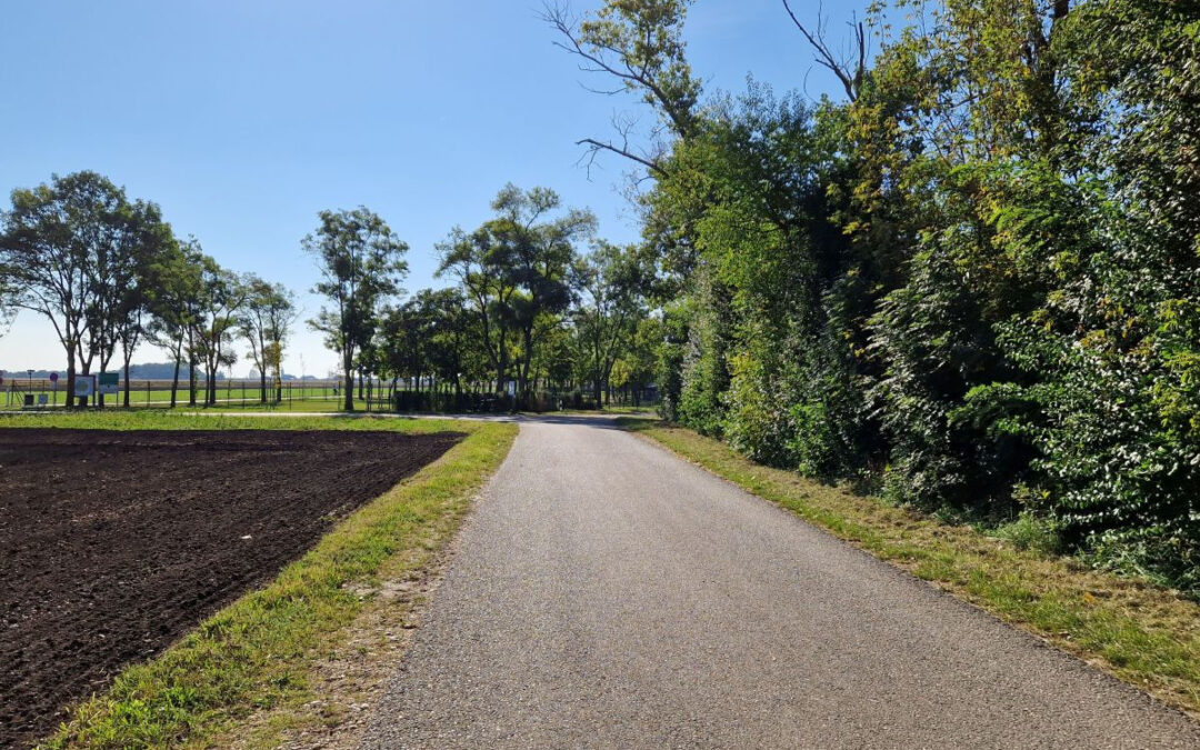 Laufpark Neusiedler See – Strecke 9: Über die Seeäcker (von St. Martins Therme aus)