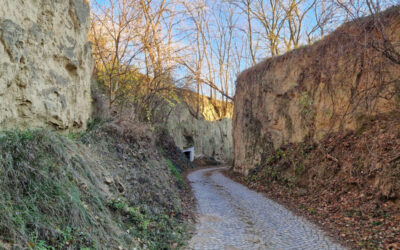 Die große Spiegelgraben-Runde in Langenlois