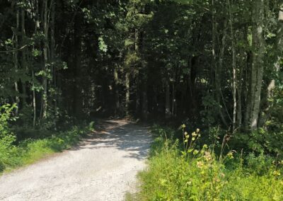 Von Annaberg zur Anna-Alm und auf den Hennesteck