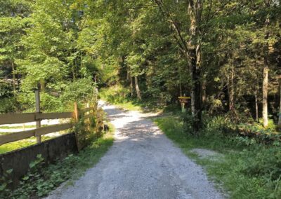 Von Annaberg zur Anna-Alm und auf den Hennesteck