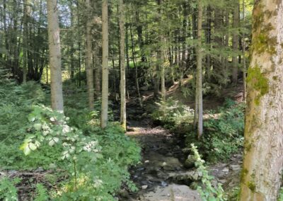 annaberg annaalm hennesteck 010