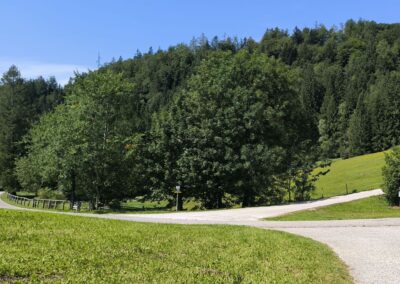 Von Annaberg zur Anna-Alm und auf den Hennesteck