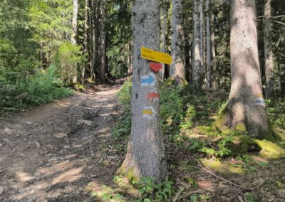 Von Annaberg zur Anna-Alm und auf den Hennesteck