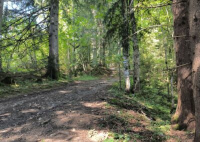 Von Annaberg zur Anna-Alm und auf den Hennesteck