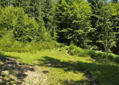 Von Annaberg zur Anna-Alm und auf den Hennesteck