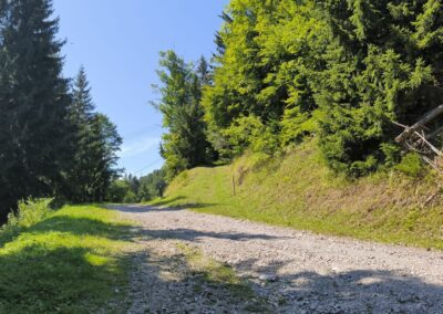 Von Annaberg zur Anna-Alm und auf den Hennesteck