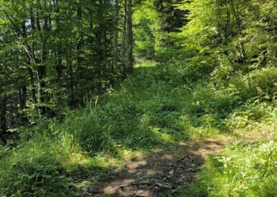 Von Annaberg zur Anna-Alm und auf den Hennesteck