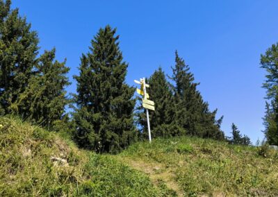 Von Annaberg zur Anna-Alm und auf den Hennesteck