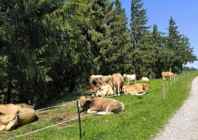 Von Annaberg zur Anna-Alm und auf den Hennesteck