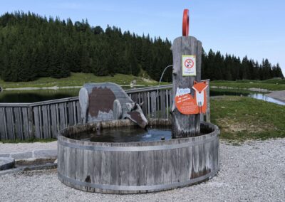 Von Annaberg zur Anna-Alm und auf den Hennesteck