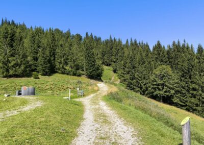 Von Annaberg zur Anna-Alm und auf den Hennesteck