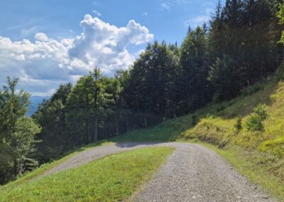 Von Annaberg zur Anna-Alm und auf den Hennesteck