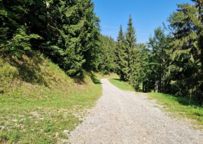 Von Annaberg zur Anna-Alm und auf den Hennesteck