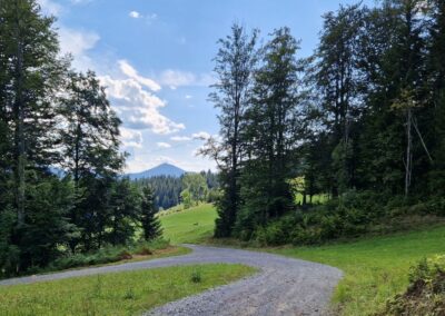 Von Annaberg zur Anna-Alm und auf den Hennesteck