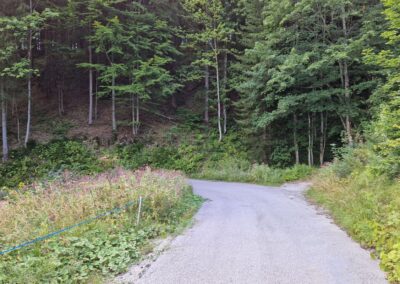 Von Annaberg zur Anna-Alm und auf den Hennesteck