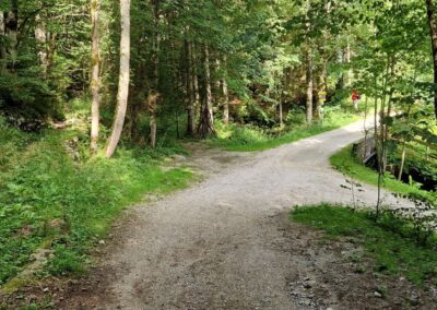 Von Annaberg zur Anna-Alm und auf den Hennesteck