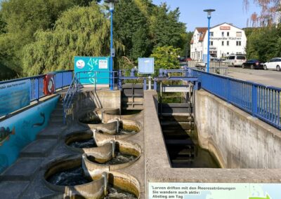 wismar muehlenteich 002