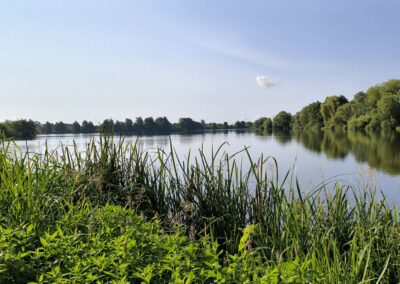 wismar muehlenteich 004