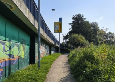 Rund um den Mühlenteich in Wismar