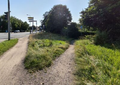 Rund um den Mühlenteich in Wismar
