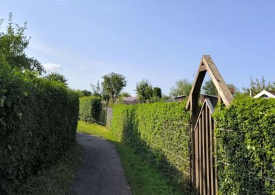 Rund um den Mühlenteich in Wismar