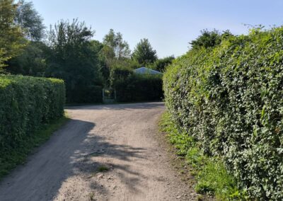 Rund um den Mühlenteich in Wismar