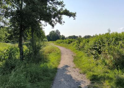 Rund um den Mühlenteich in Wismar