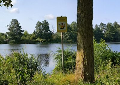 Rund um den Mühlenteich in Wismar