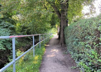Rund um den Mühlenteich in Wismar