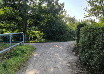 Rund um den Mühlenteich in Wismar