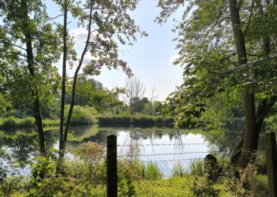 Rund um den Mühlenteich in Wismar