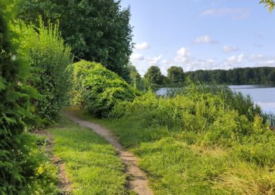 Rund um den Mühlenteich in Wismar