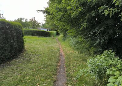 Rund um den Mühlenteich in Wismar