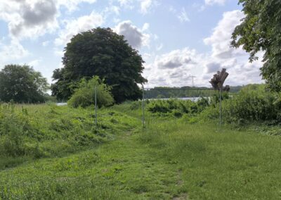 Rund um den Mühlenteich in Wismar