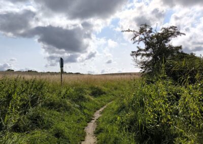 Rund um den Mühlenteich in Wismar